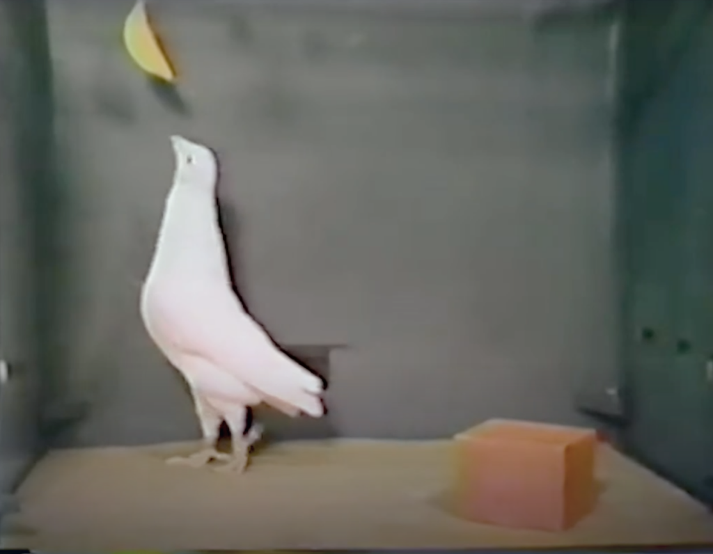 Ausschnitt aus den Recherchearbeiten für den Film Win-Win.